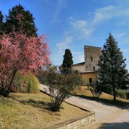Casa Per Ferie Ulivo D'Assisi Exterior foto