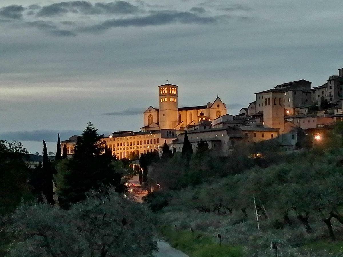 Casa Per Ferie Ulivo D'Assisi Exterior foto